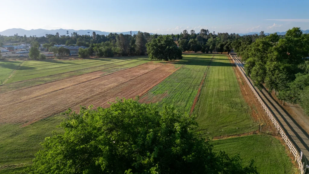 Aerial view of fenced, irrigated pasture divided into two large fields.