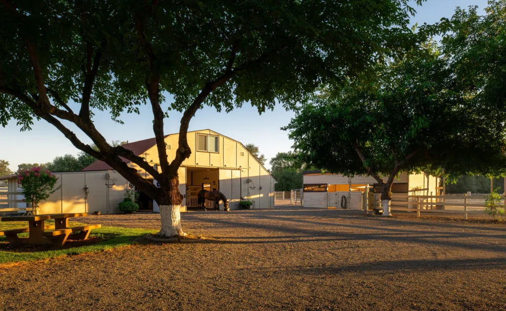 Gambrel-roof horse barn and courtyard, well maintained.