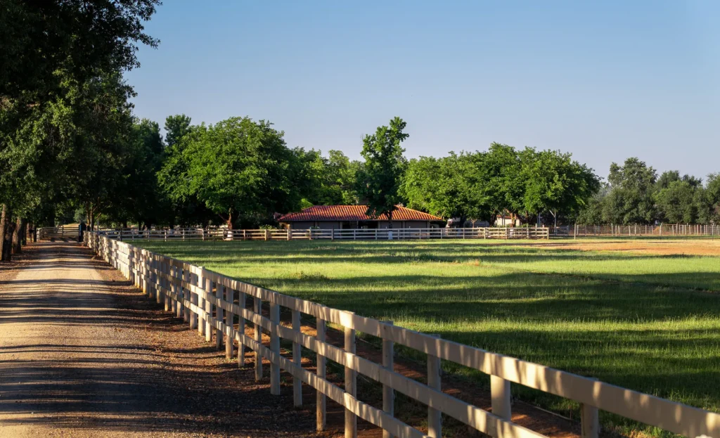 Quarter-mile private drive beneath mature oaks with white three-rail fencing.